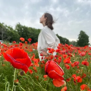 Благова на водах