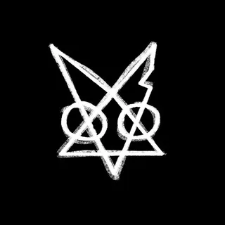 BURN THE FOX