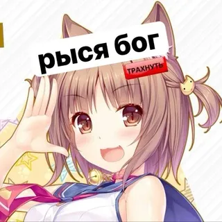 рысекон рисует