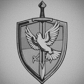 1-ша Диванна Штурмова Бригада ім. SHALIN