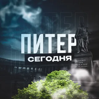 Питер Сегодня