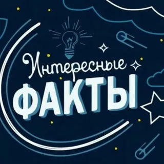 ИНТЕРЕСНЫЕ ФАКТЫ