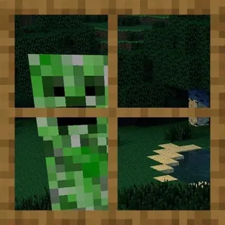 SMP MODELS ADOPTS