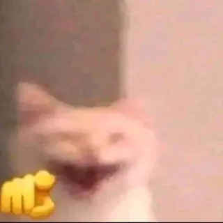 ❃.:▹ Коллектив 69 ◃:.❃