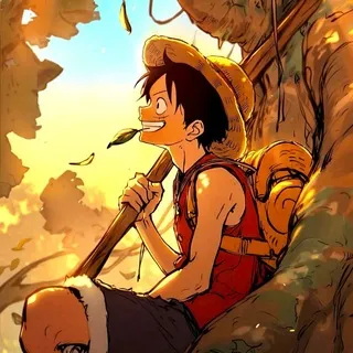One Piece Series