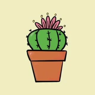 🌵| Команта Кактуса (+16)