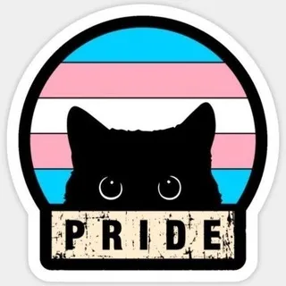 QueerShield • CF