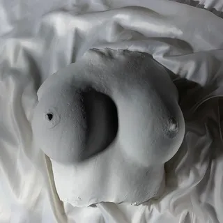 Anatomy cast