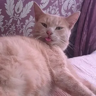 детский садик