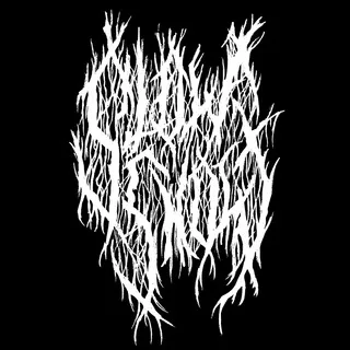 SlowSnowrecords
