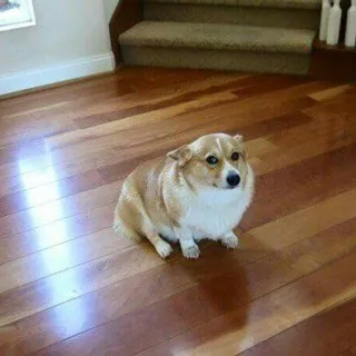 sssэээннняяя