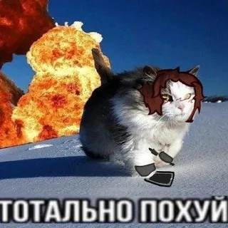 -_Вкусные Шпроты[16+]_-