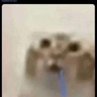 ты мой друг
