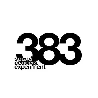 383