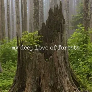 НАБОР В АДМ||Nature cf+|non|daily