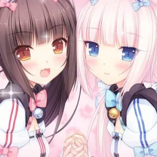 влвкф чятик💞
