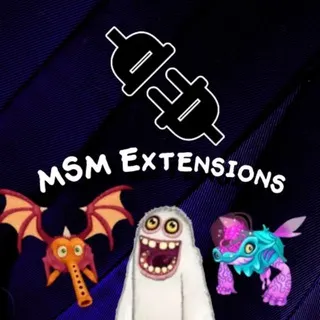 MSM Extensions