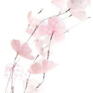. . @Melody Of Secrets.ᐟ