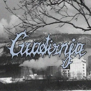 gradirnja ·*⋆✿
