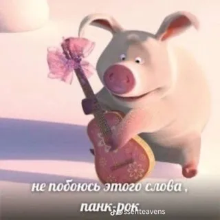 сврр лох