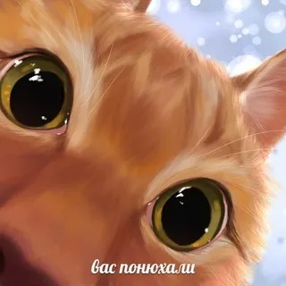 Мемные сливки ฅ^•ﻌ•^ฅ
