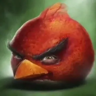 ANGRY BIRDS confessions.