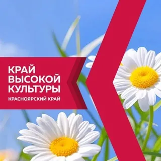 Культура24