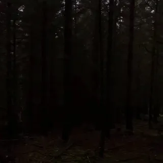 voxgarden