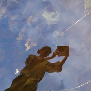 цвет тишины