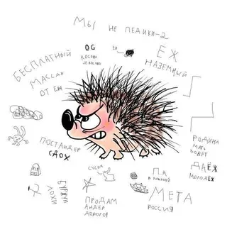 ЁЖИК НА АСФАЛЬТЕ (треки)