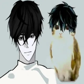 goil