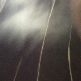 lunar