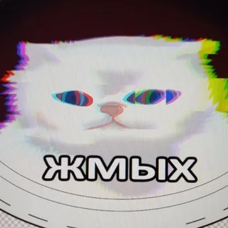 регрис сидит