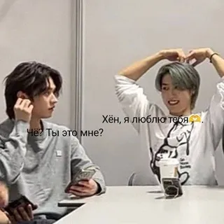Сайрекс чат67