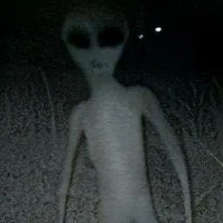 9 ноября