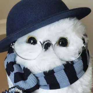 Совиное гнездо 🪺🦉
