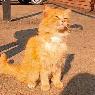 ненавижу