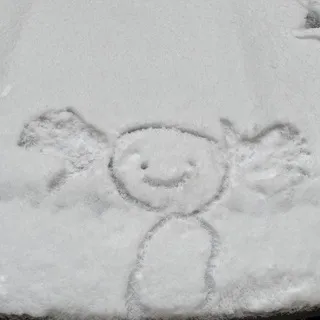 Корни и почва