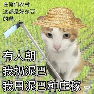 Ууу, Ролли 💀💀