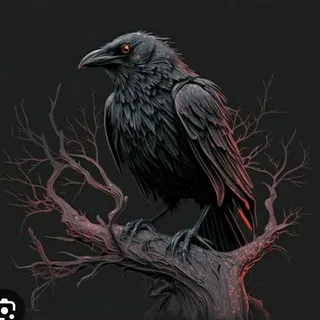 ⚜ Consciência Corvo ✨ 🧠 🐦‍⬛️