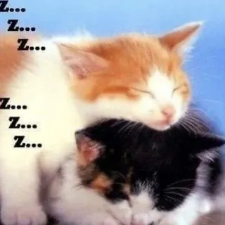 неуч викс💤#103венерическихзаболеваний