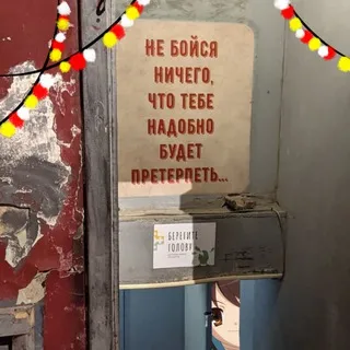 Ztoylo