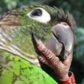 𝐛𝐢𝐫𝐝 𝐥𝐨𝐯𝐞𝐫𝐬 𝐜𝐨𝐧𝐟𝐞𝐬𝐬𝐢𝐨𝐧.