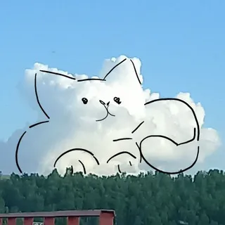 Похождения пельмешки