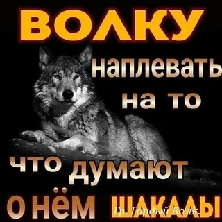 Интим не предлагать