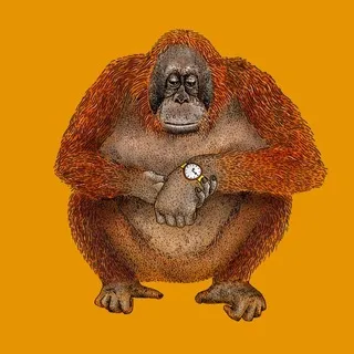 HUAWEI WATCHFACES
