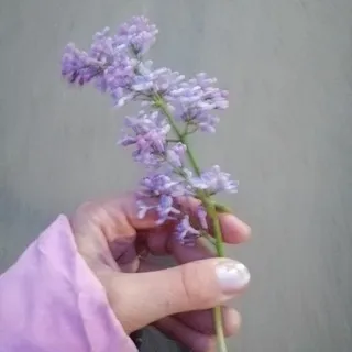 Мариэль✨чудит