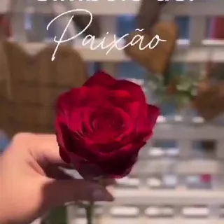 𝘽𝙚𝙖𝙪𝙩𝙞𝙛𝙪𝙡 𝙁𝙡𝙤𝙬𝙚𝙧𝙨 🌺
