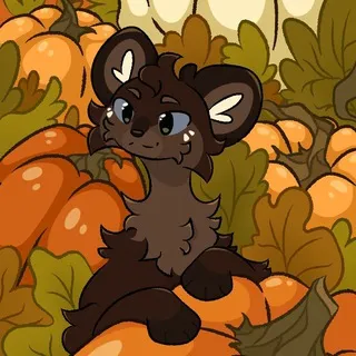 ✨Daki's shelter | DakiWalker ✨