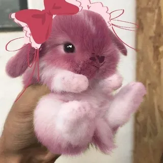 ♡ Кроличья нора